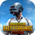 绝地求生国际服联动间谍过家家(PUBG MOBILE)